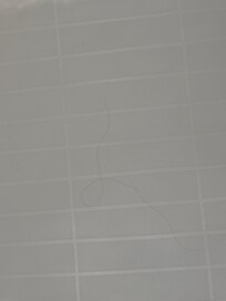 Hair in tub