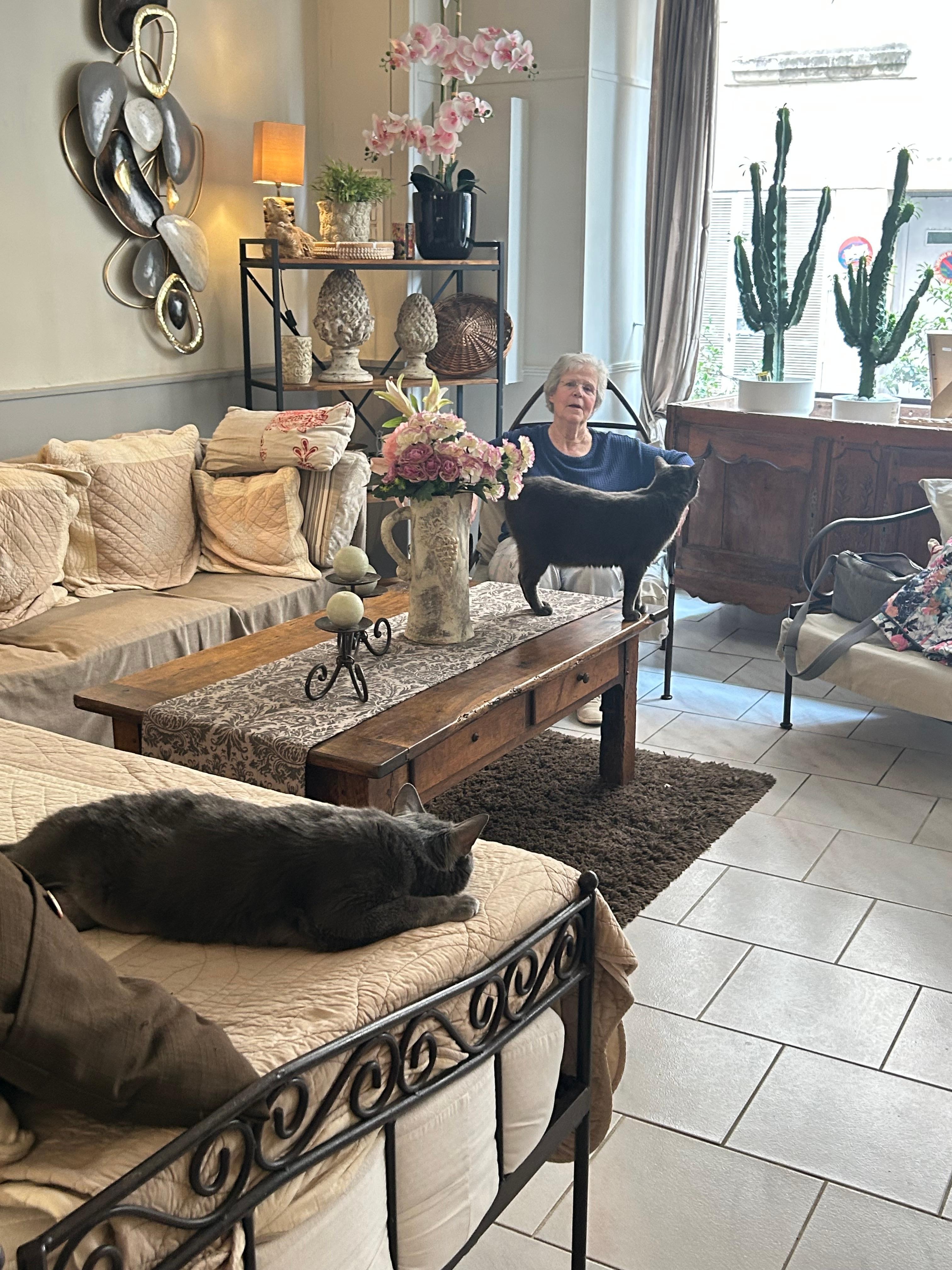Same cat in the lobby