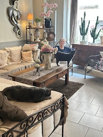 Same cat in the lobby
