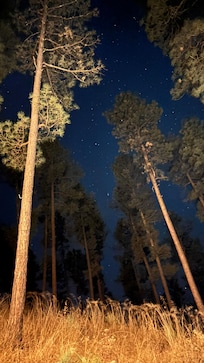 The view at night was beautiful!