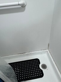 Moldy tub and shower curtain