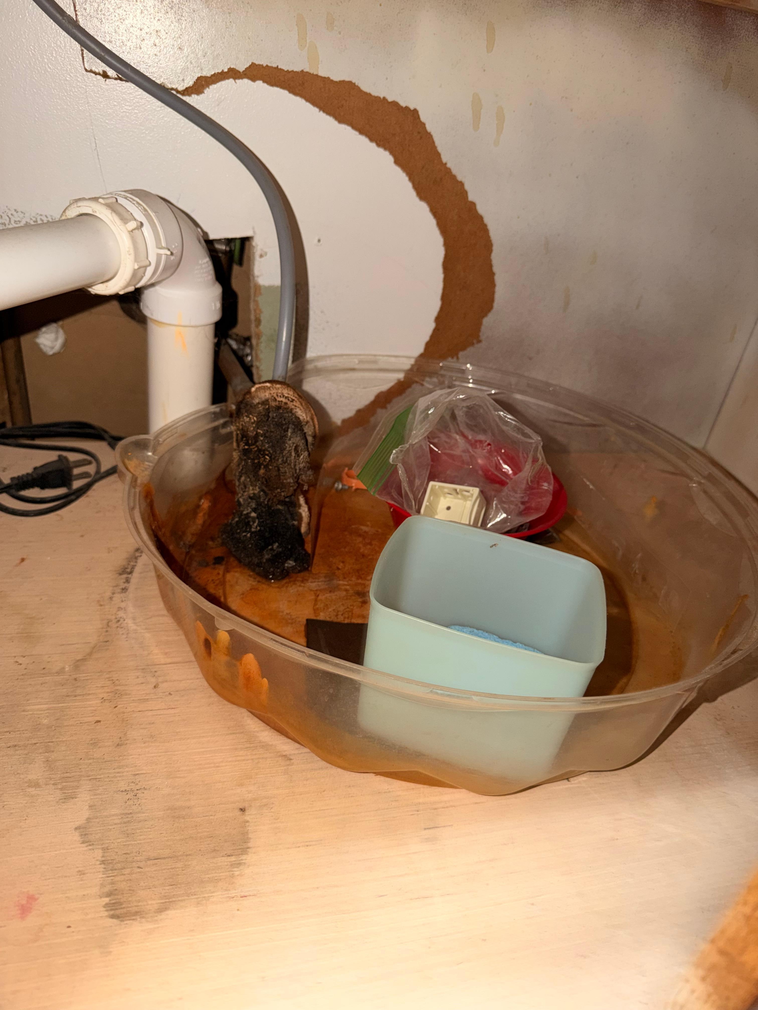 Mold under sink and in bathrooms that made place smell.  