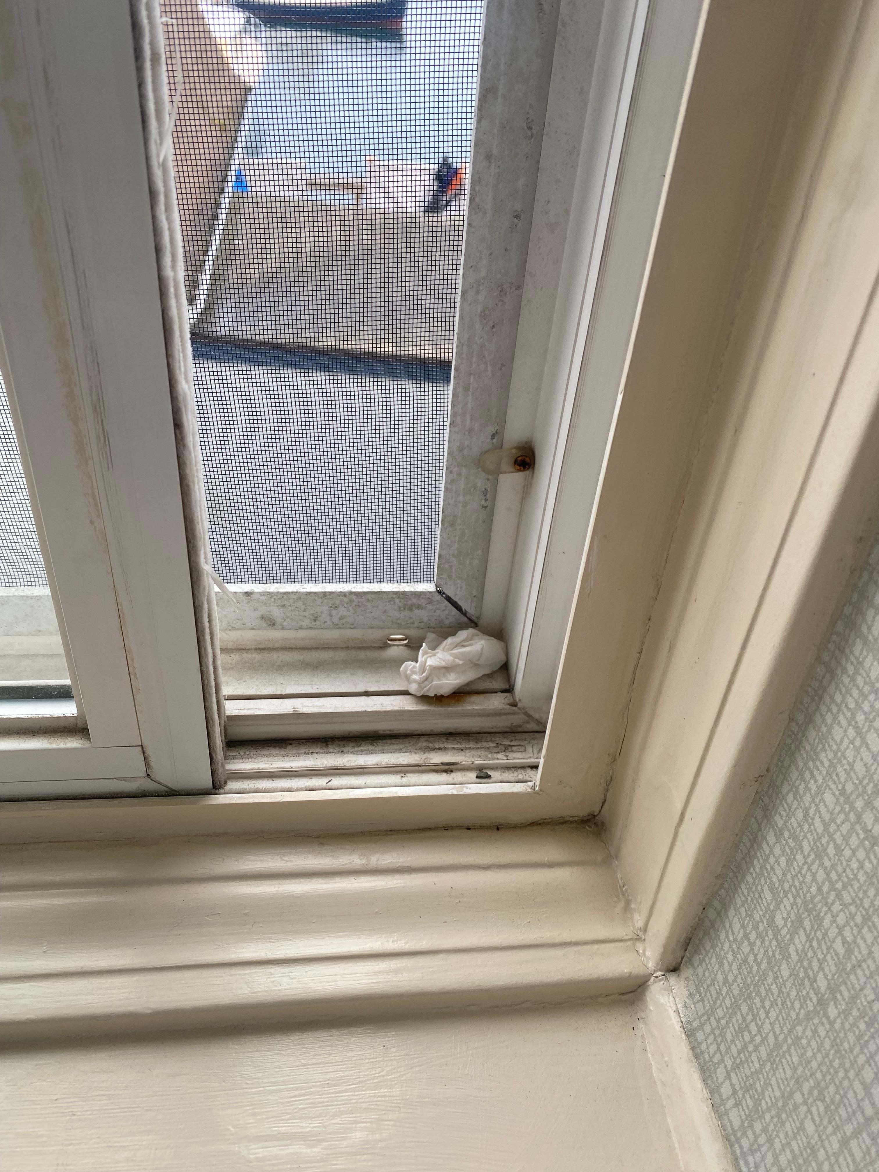 Dirty tissue in the window sill