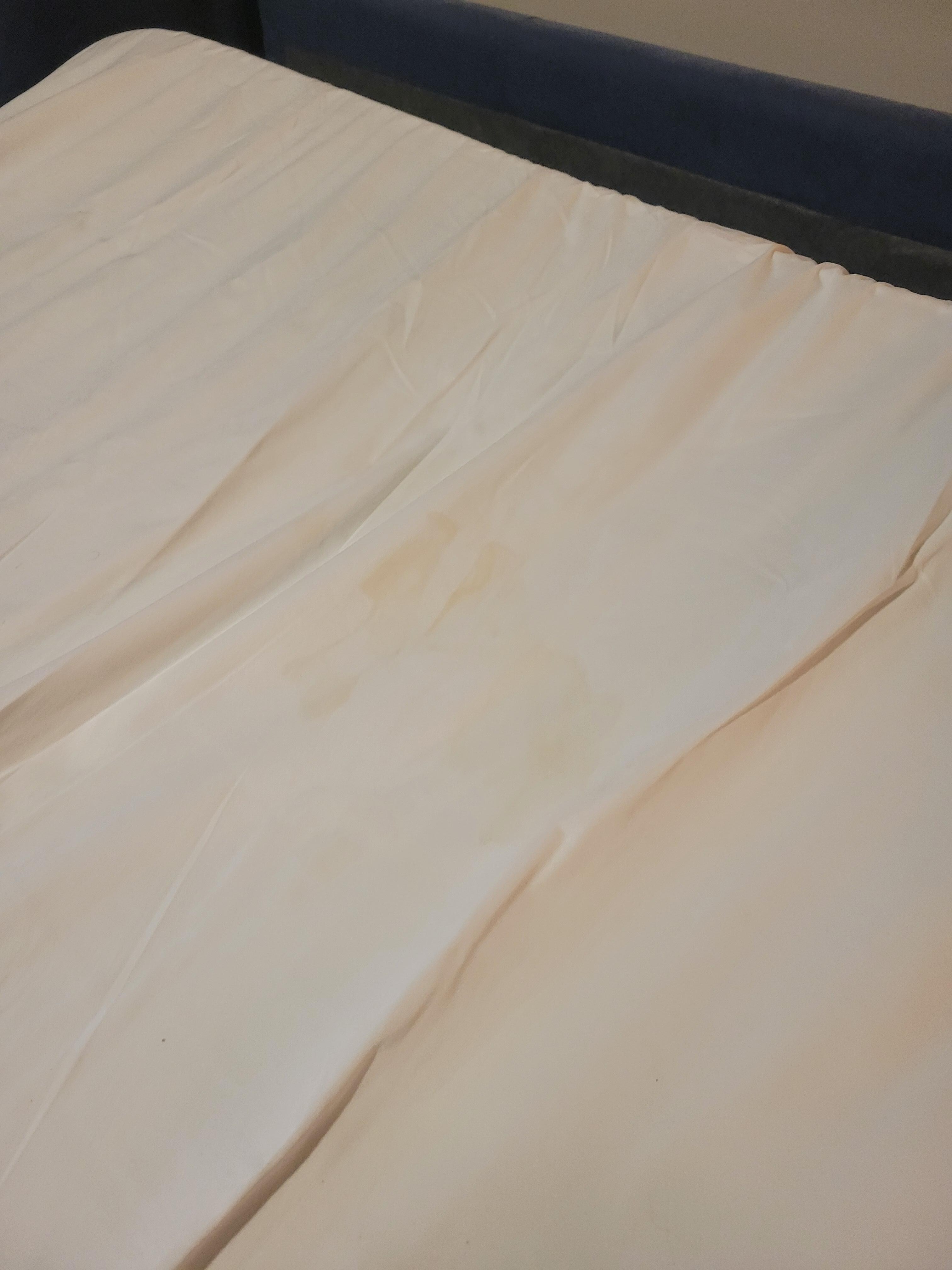 Dirty pull out couch sheet 