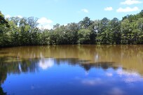 The lake is beautiful.
