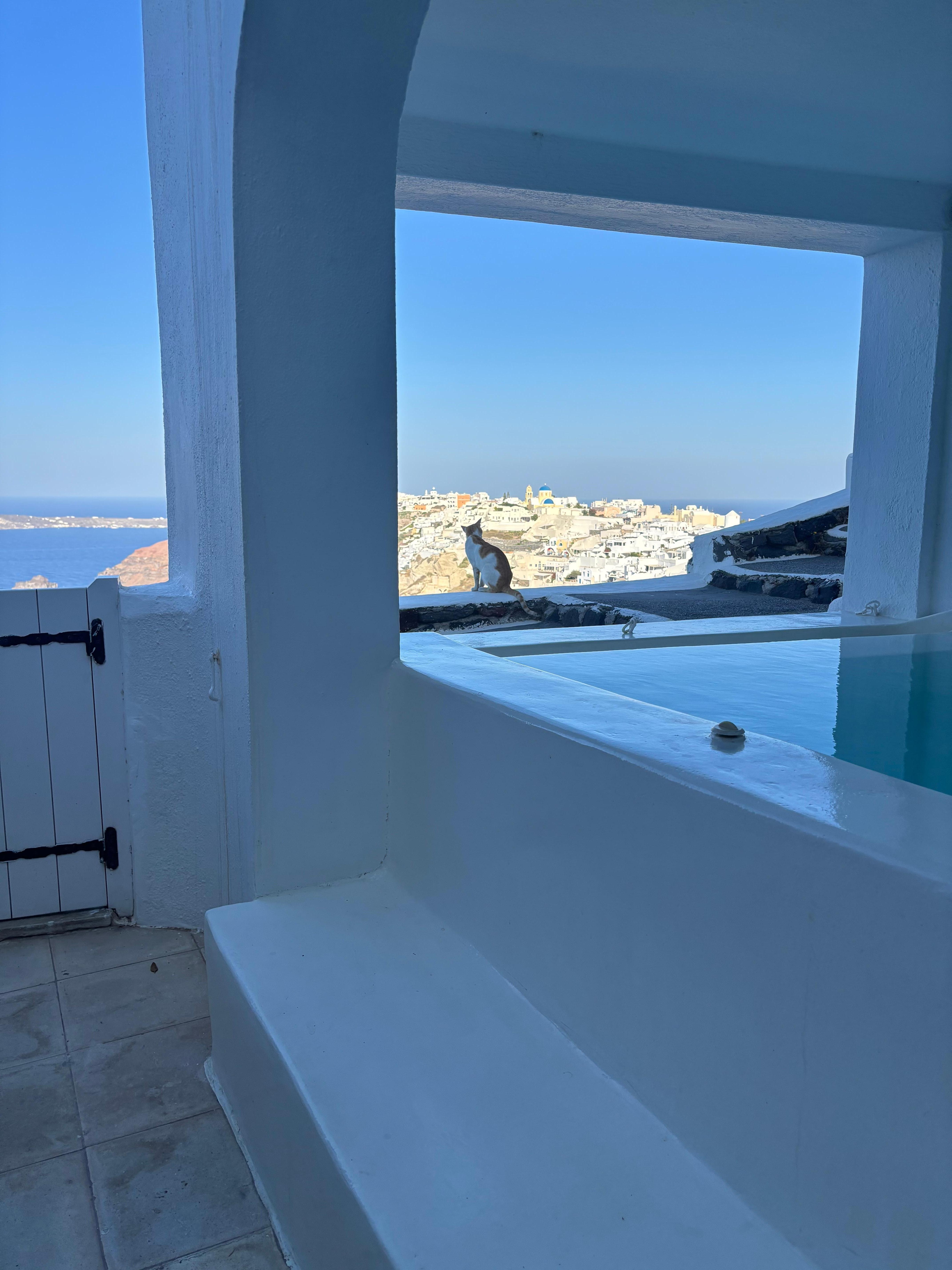 A view from the front patio with the pool. 