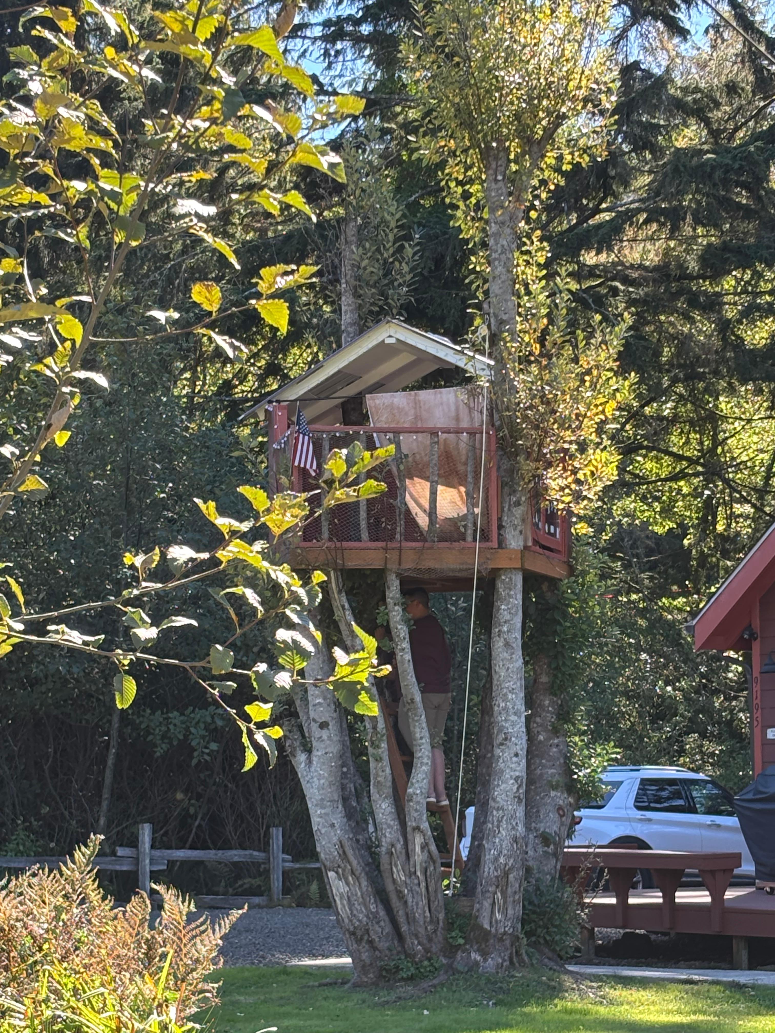 Treehouse Fun