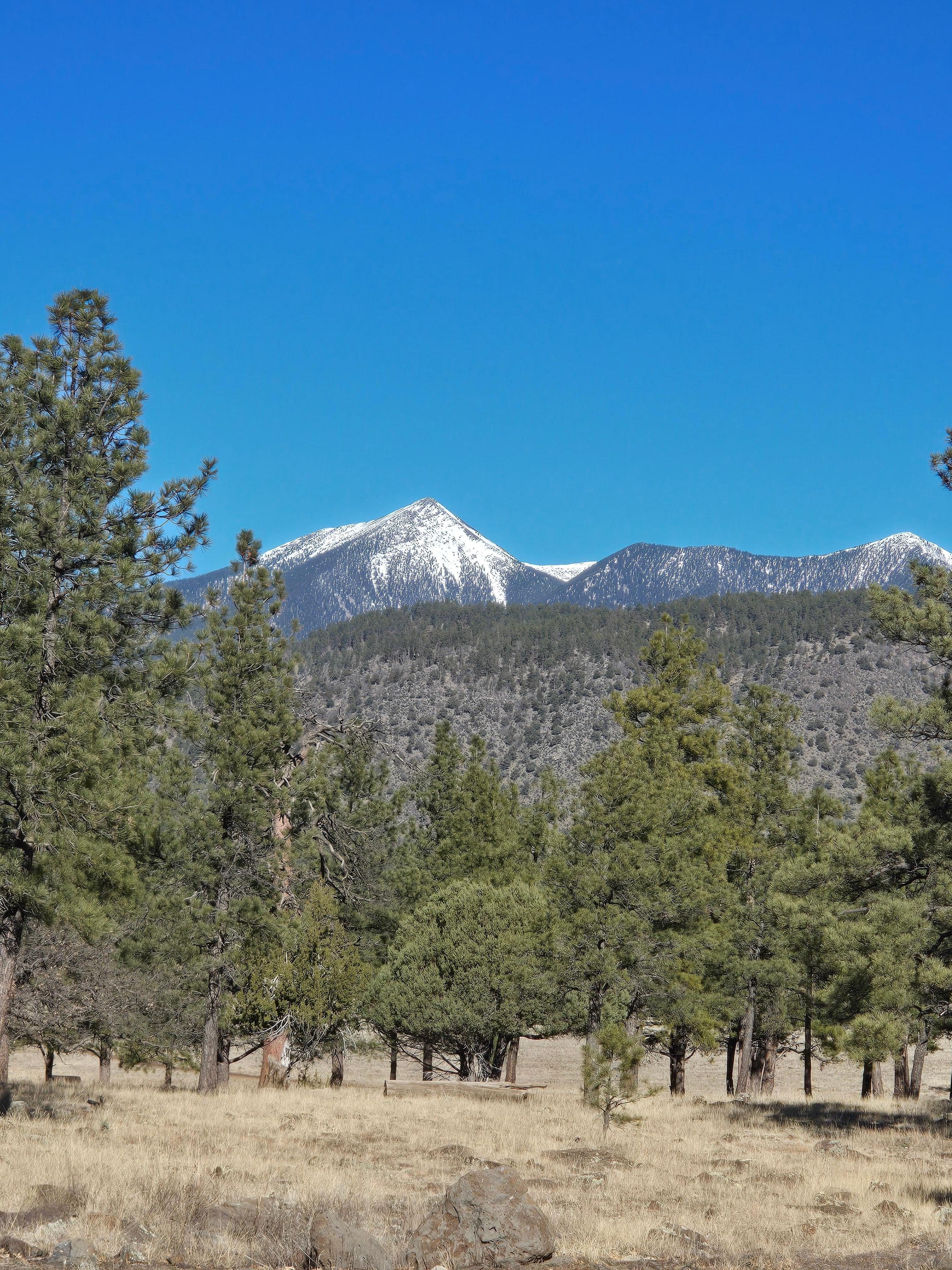From Buffalo park in Flagstaff