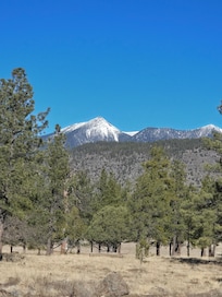 From Buffalo park in Flagstaff