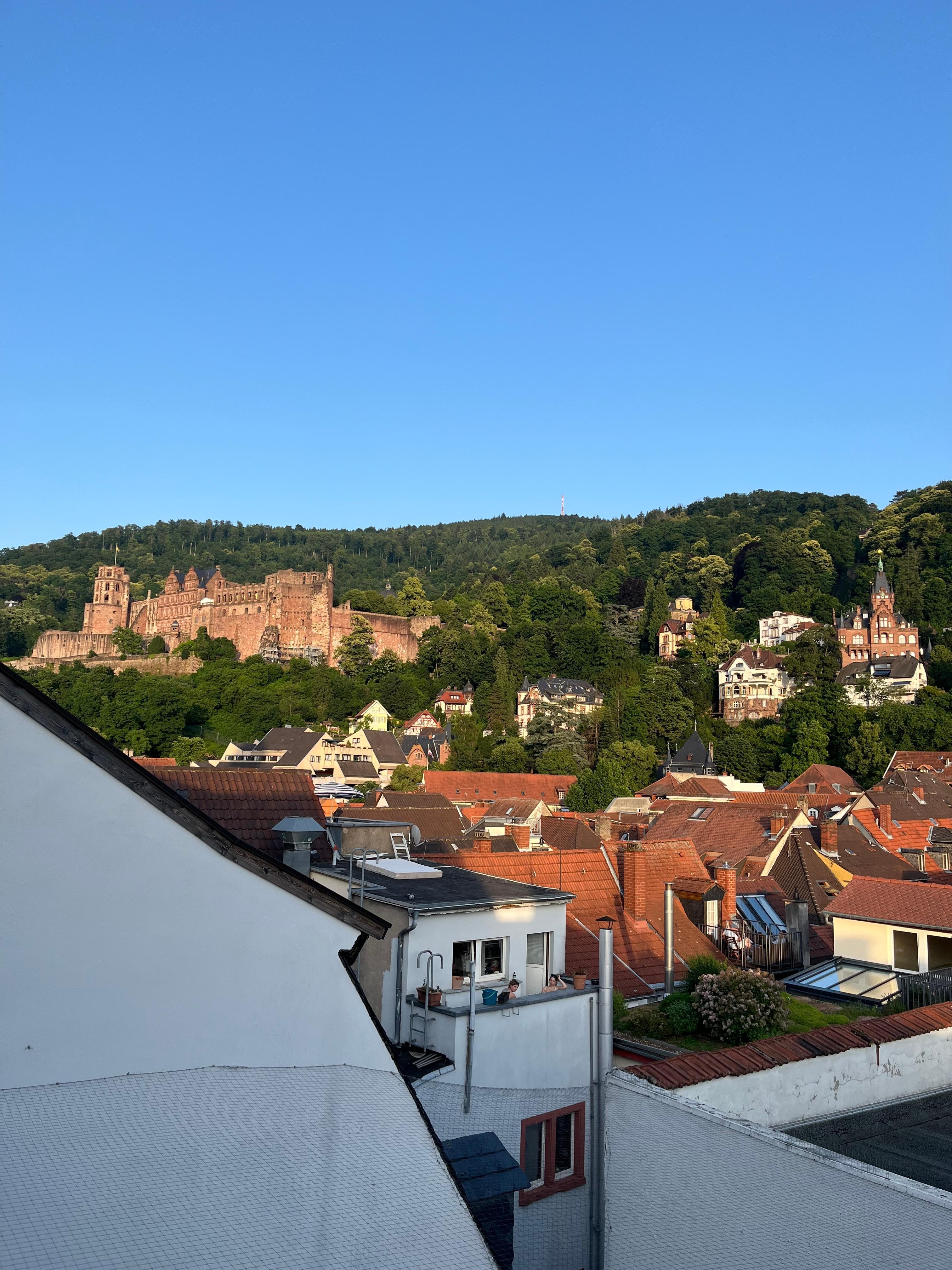 View of the castle from suite 305