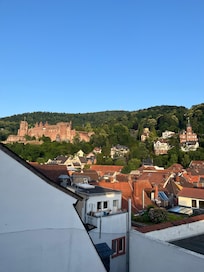 View of the castle from suite 305