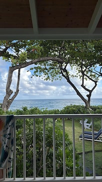 The view from the lanai