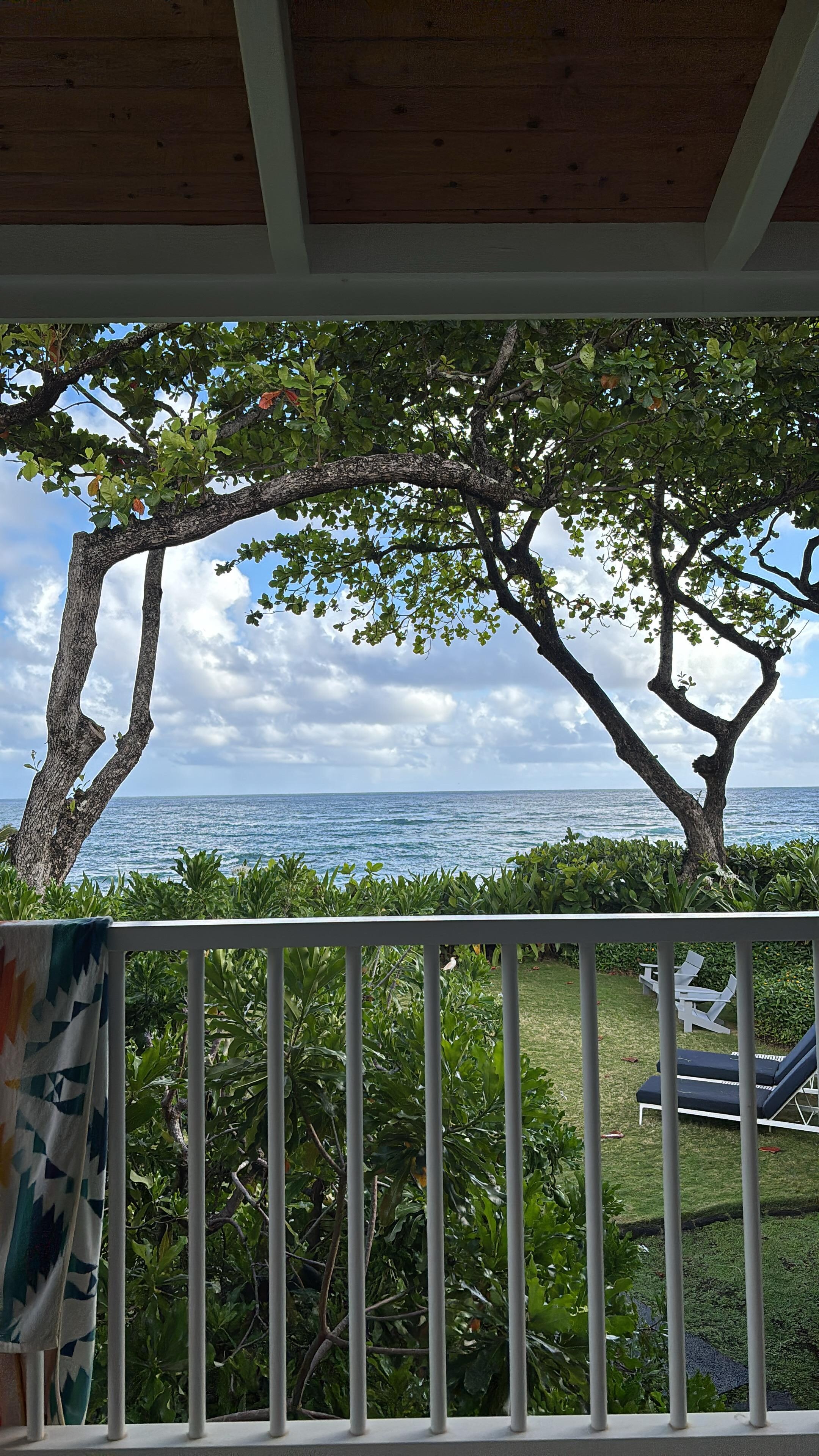 The view from the lanai