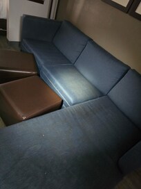Couch pulled from dumpster???