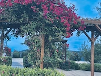 Back of property pergola facing away from property