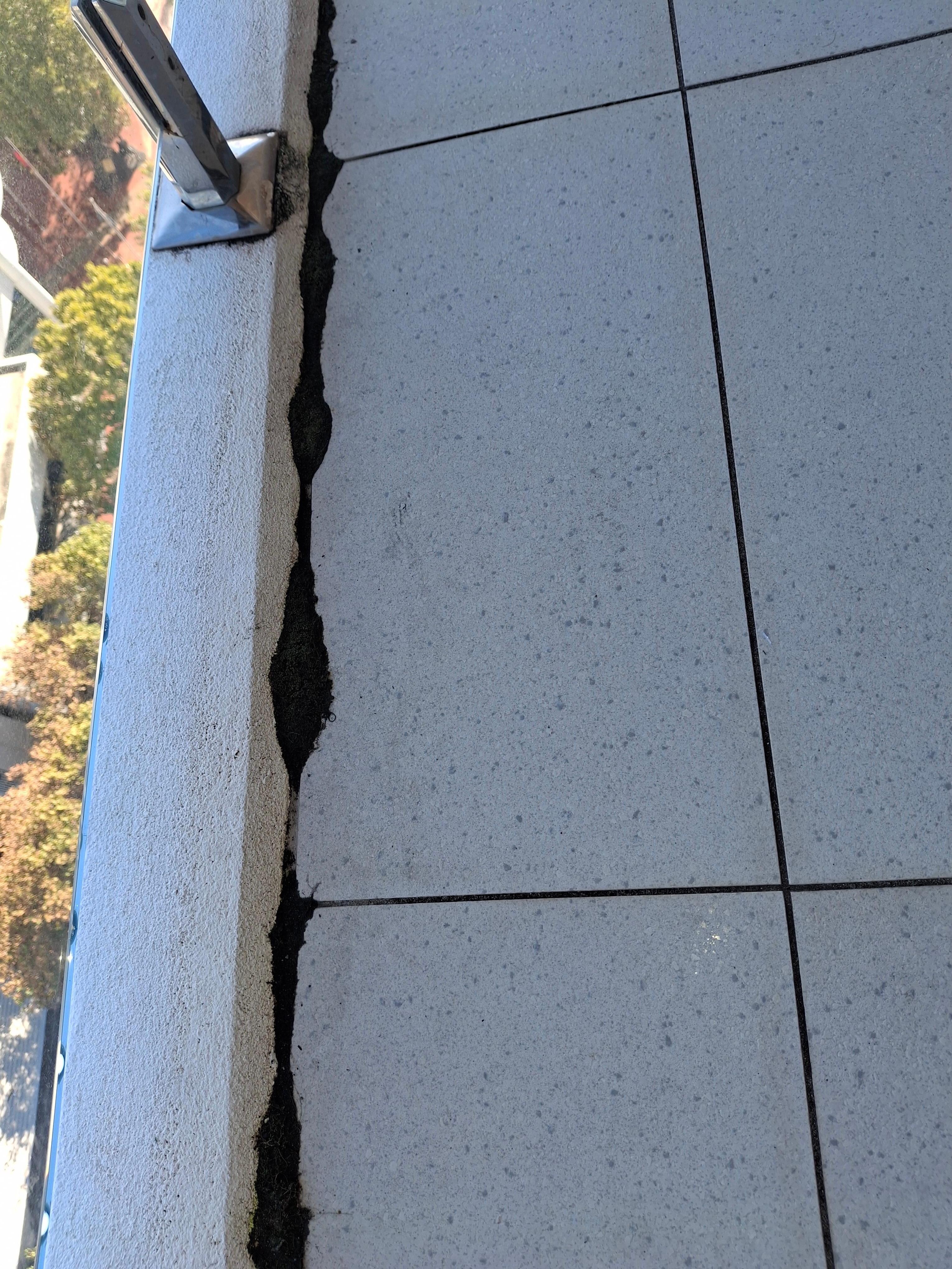 Mold all along balcony 