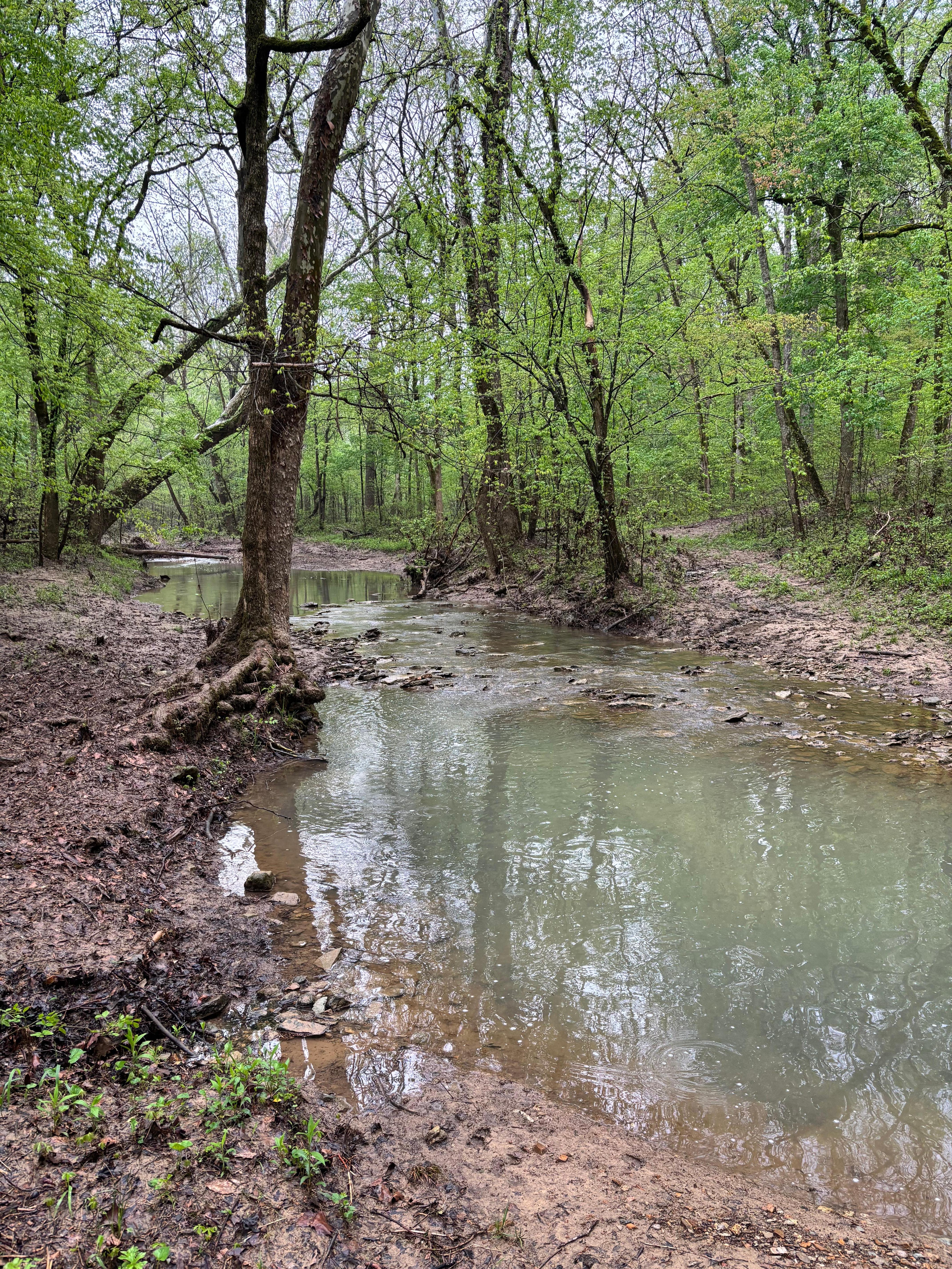 Creek running through property.