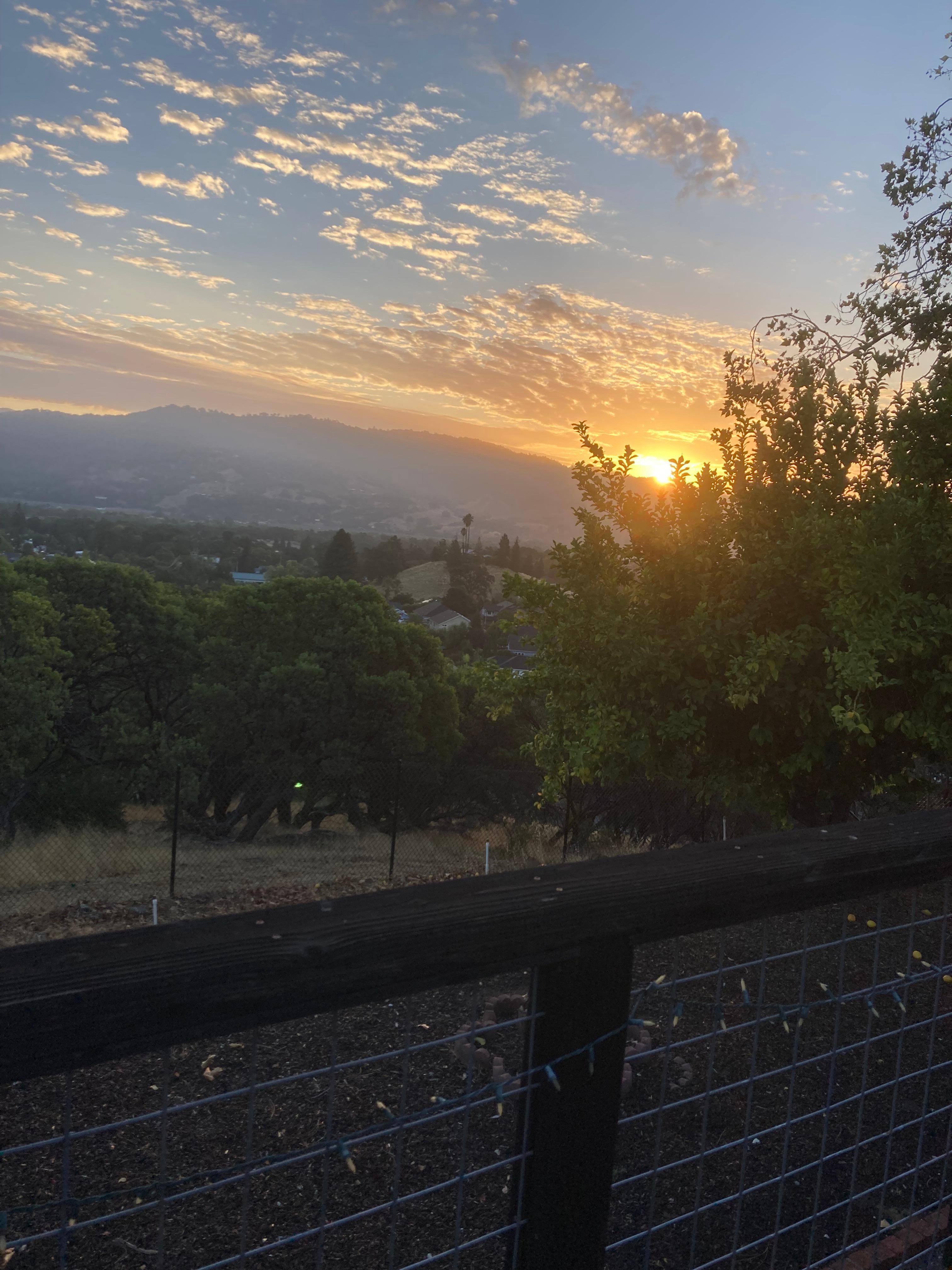 Back deck view sunrise