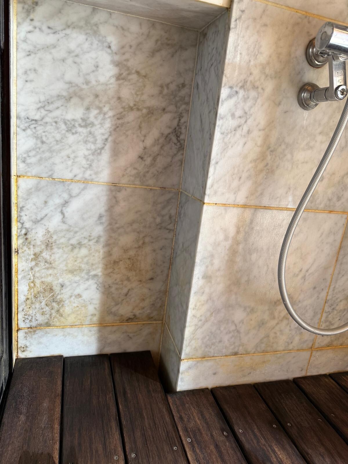 Mold and grime in shower walls