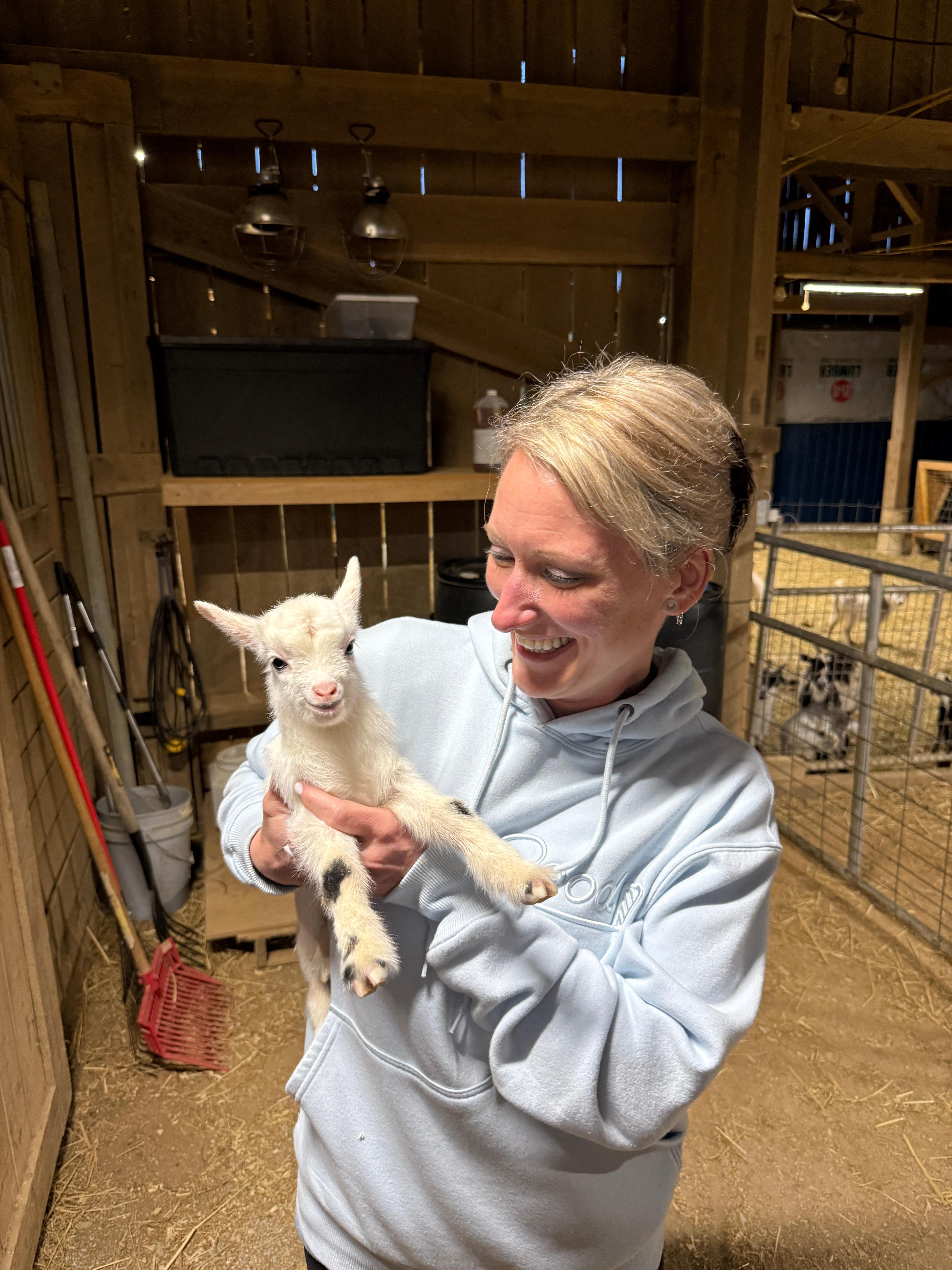 New baby goat!