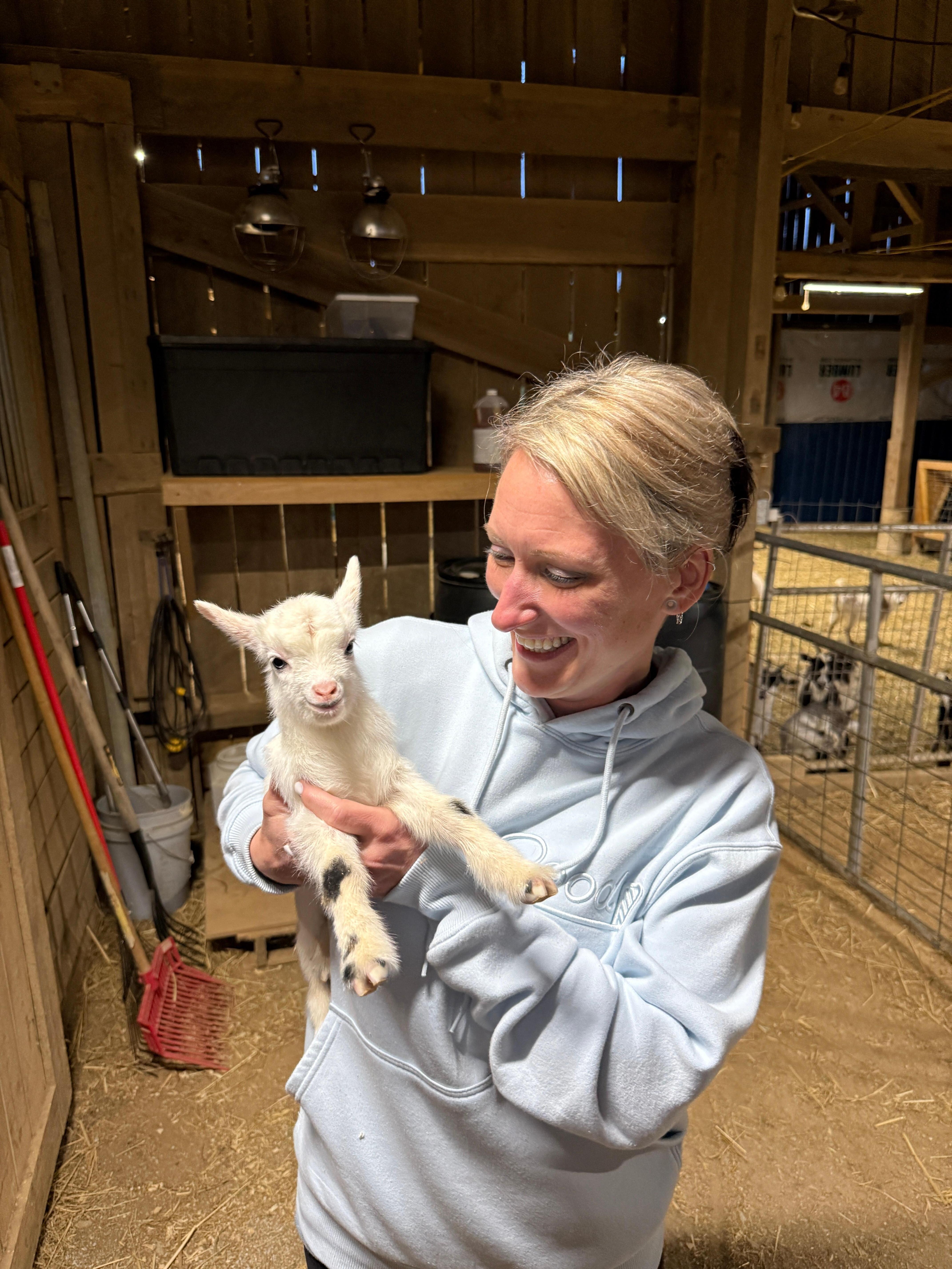 New baby goat!