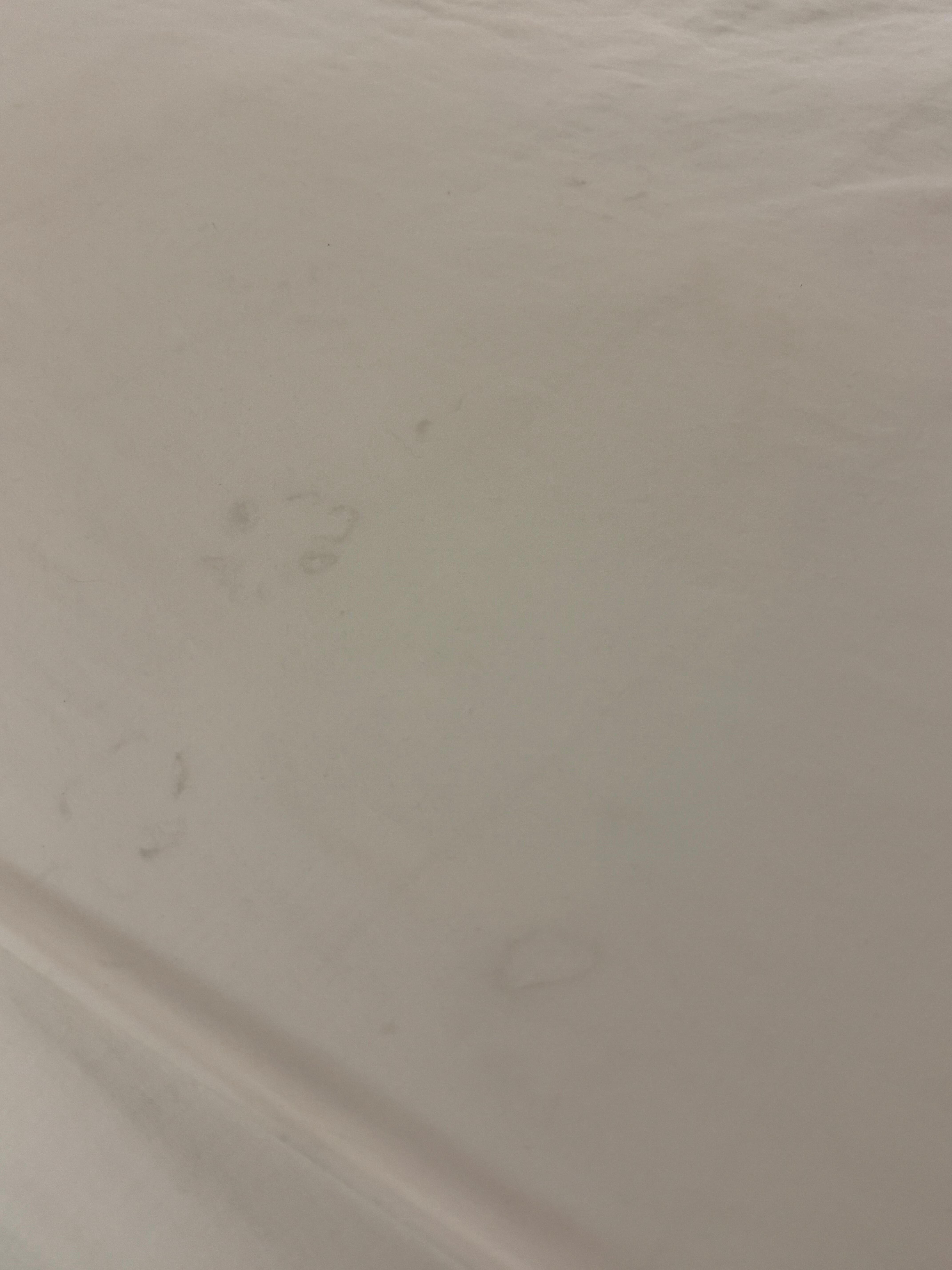 Stains and hair on these sheets