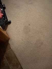 Stained carpet in master bedroom