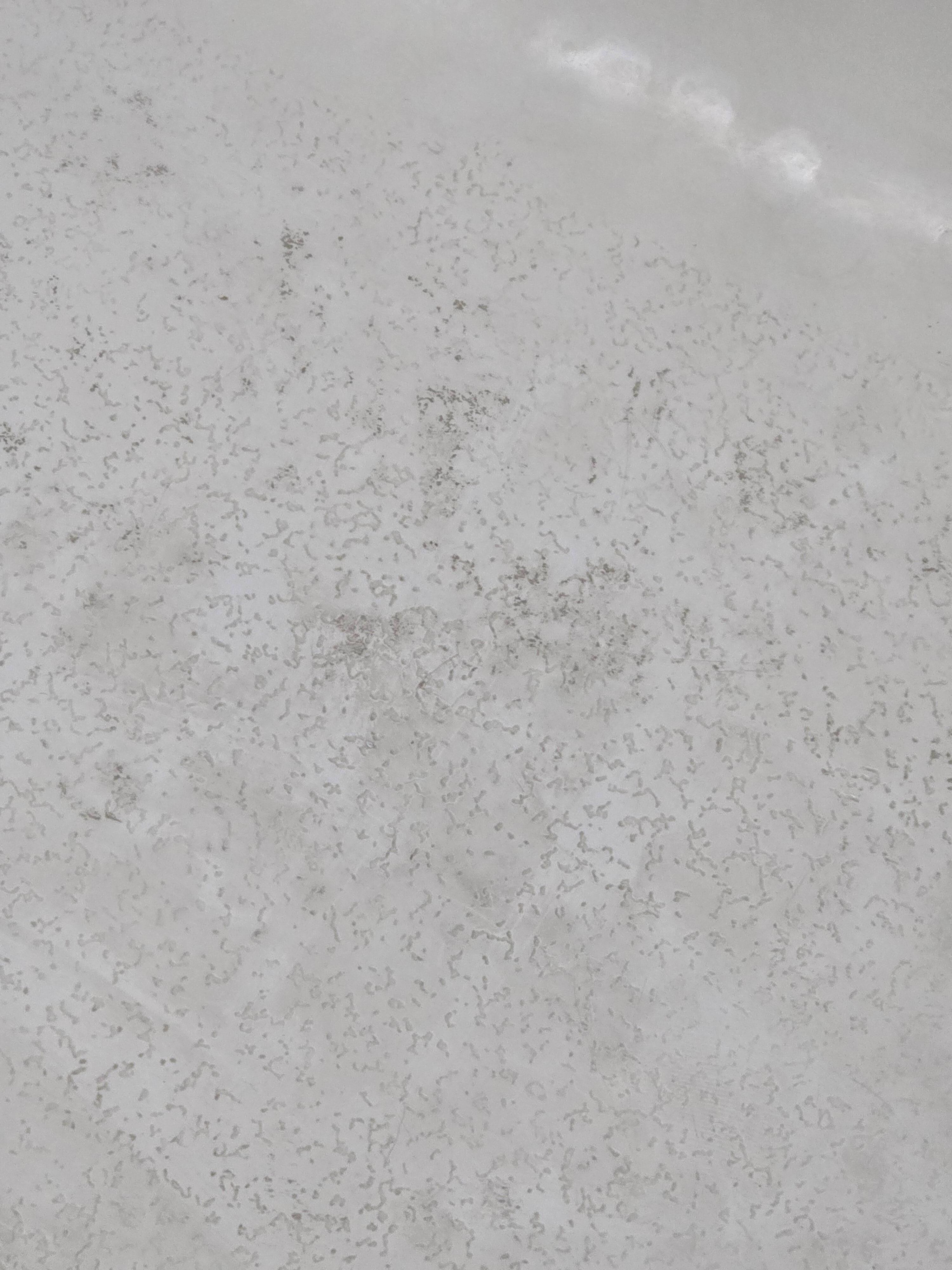 the bottom of the tub