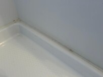 mold and mildew in shower