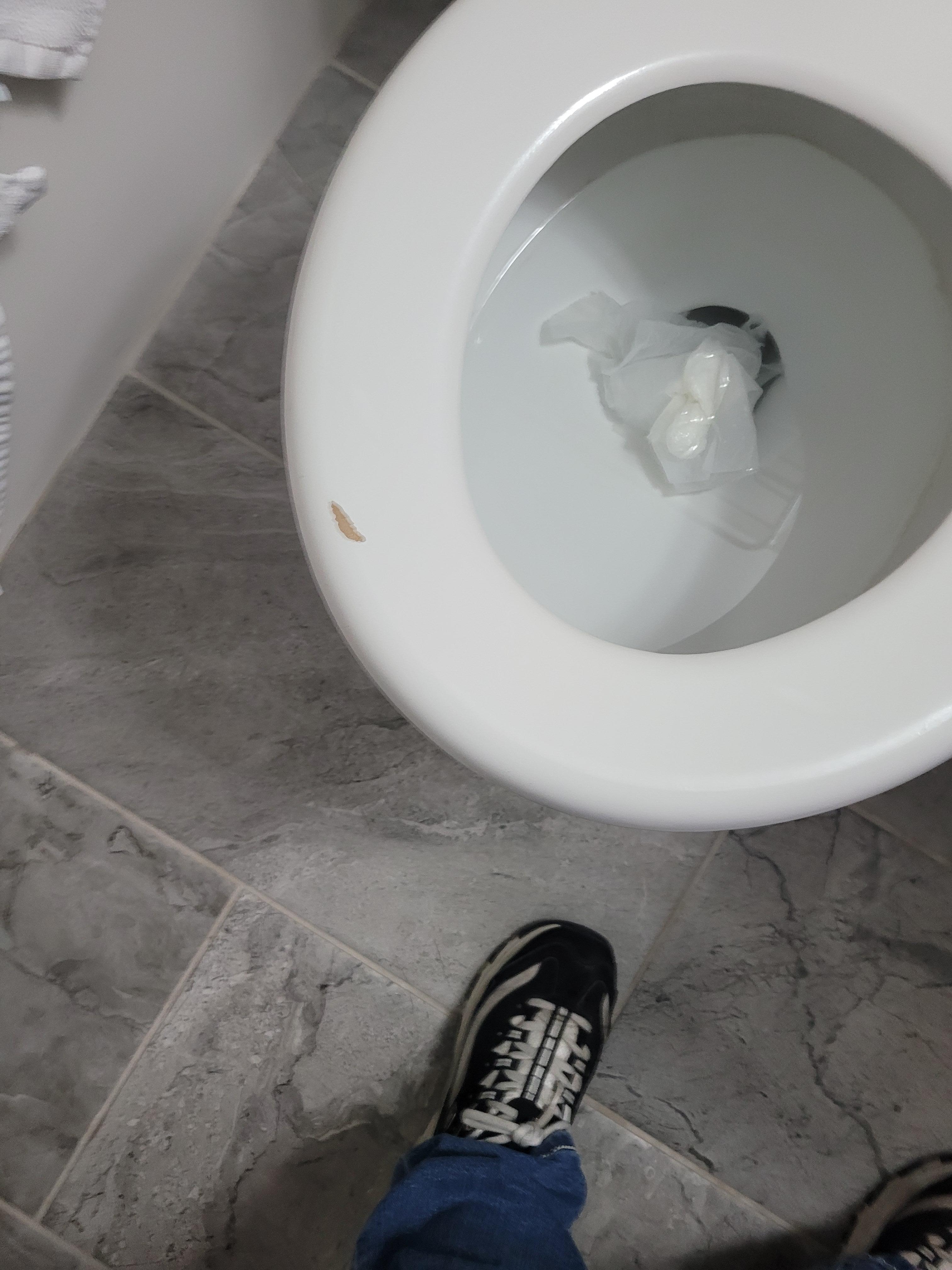 Toilet that would not flush