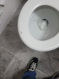 Toilet that would not flush