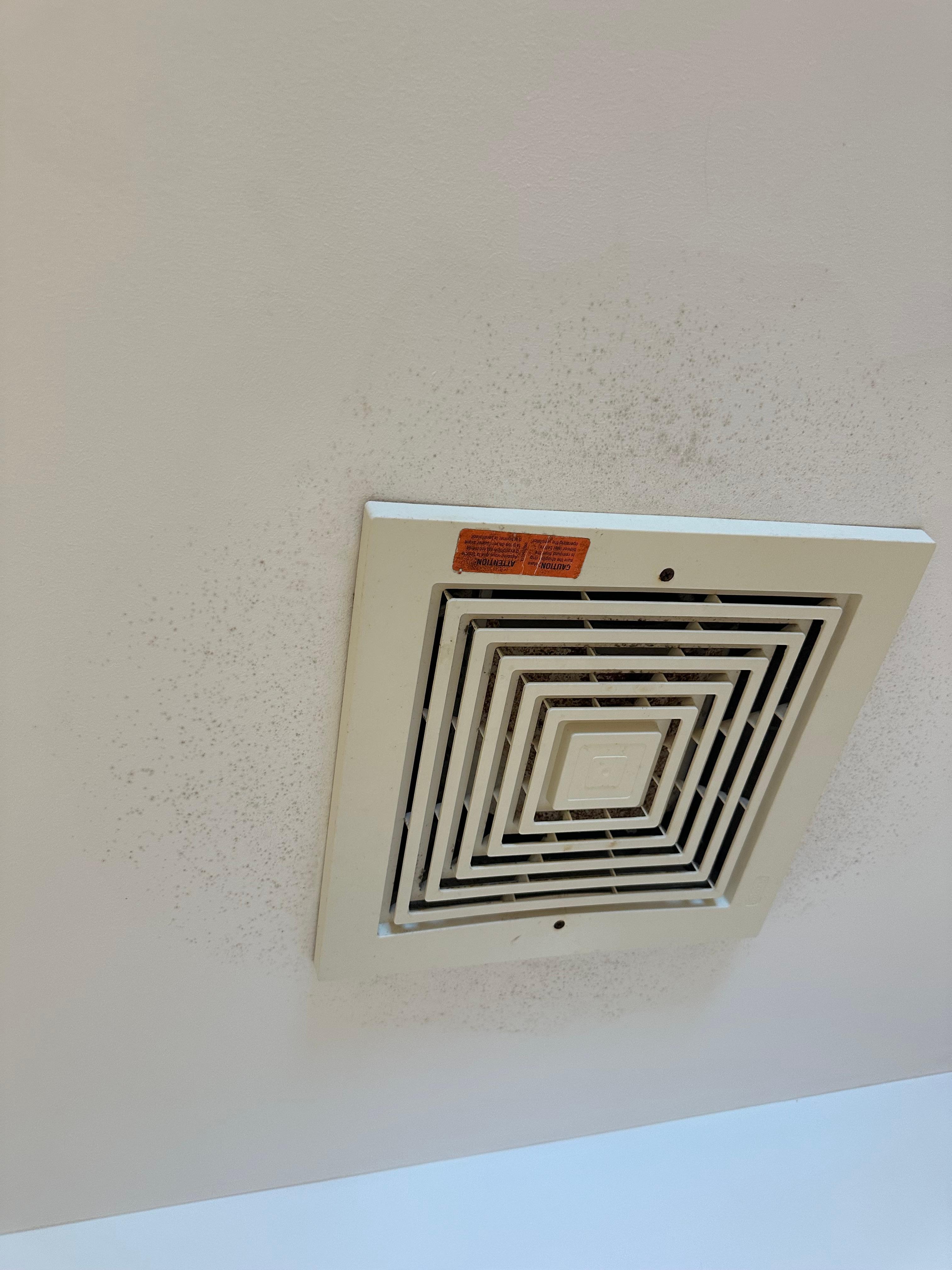 Mold near the vent