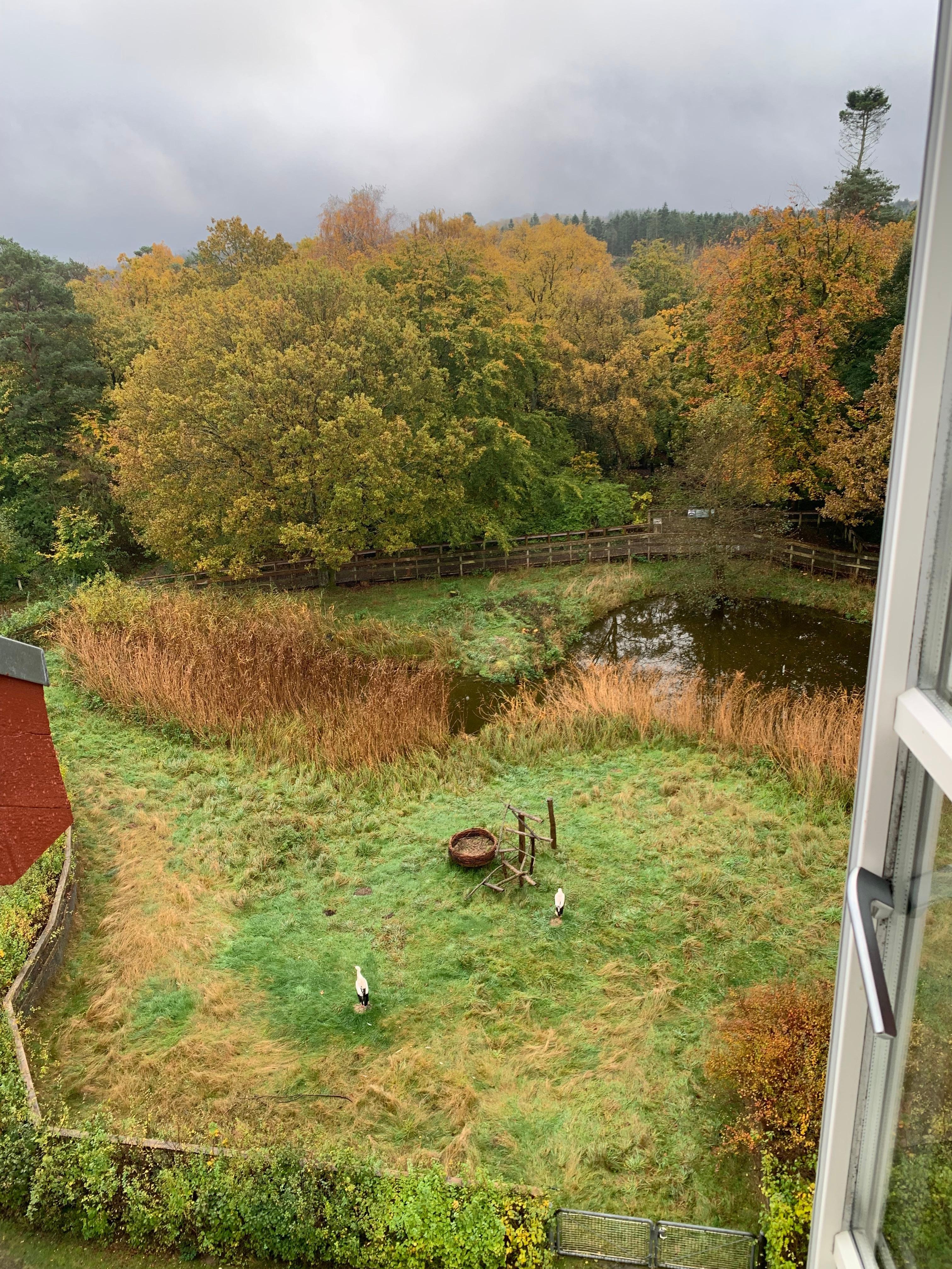 Udsigten fra vores værelse 