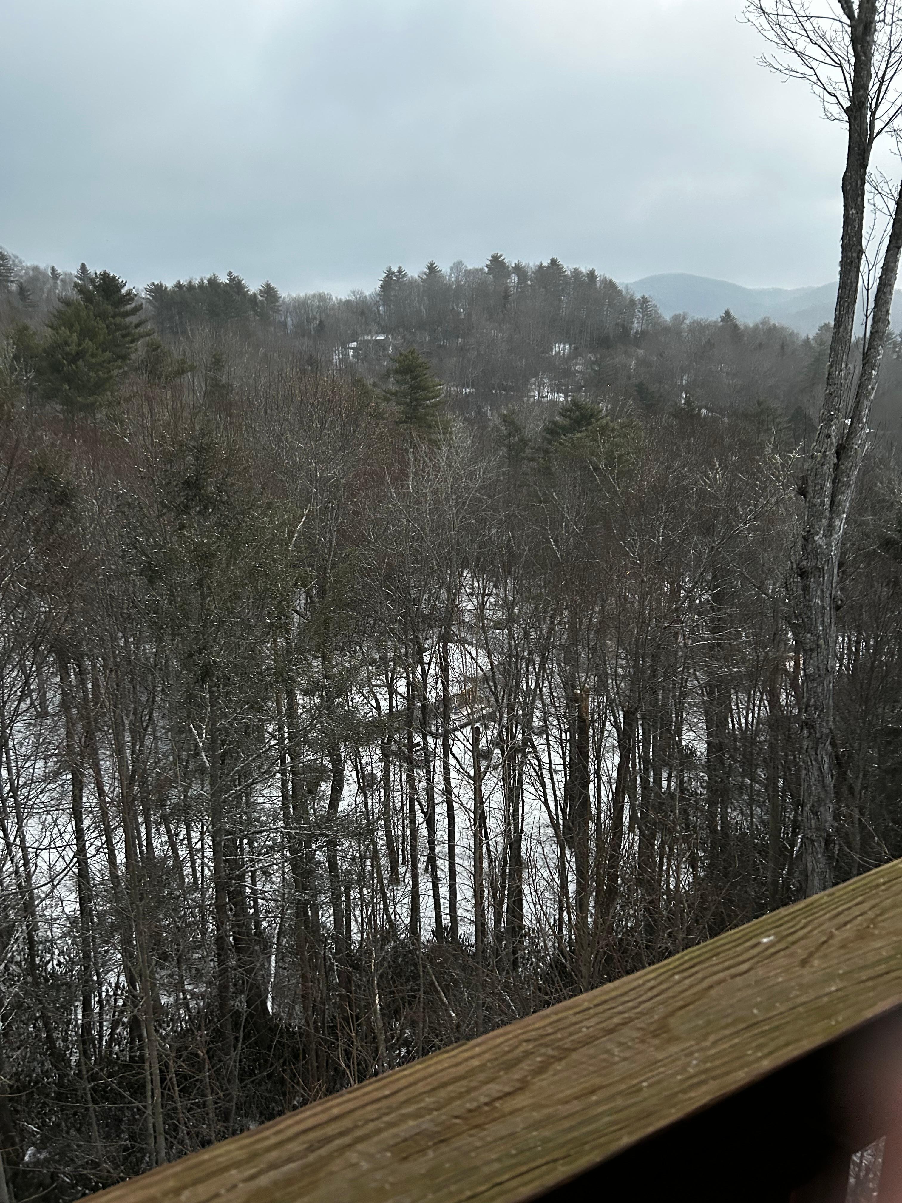 View from back porch area