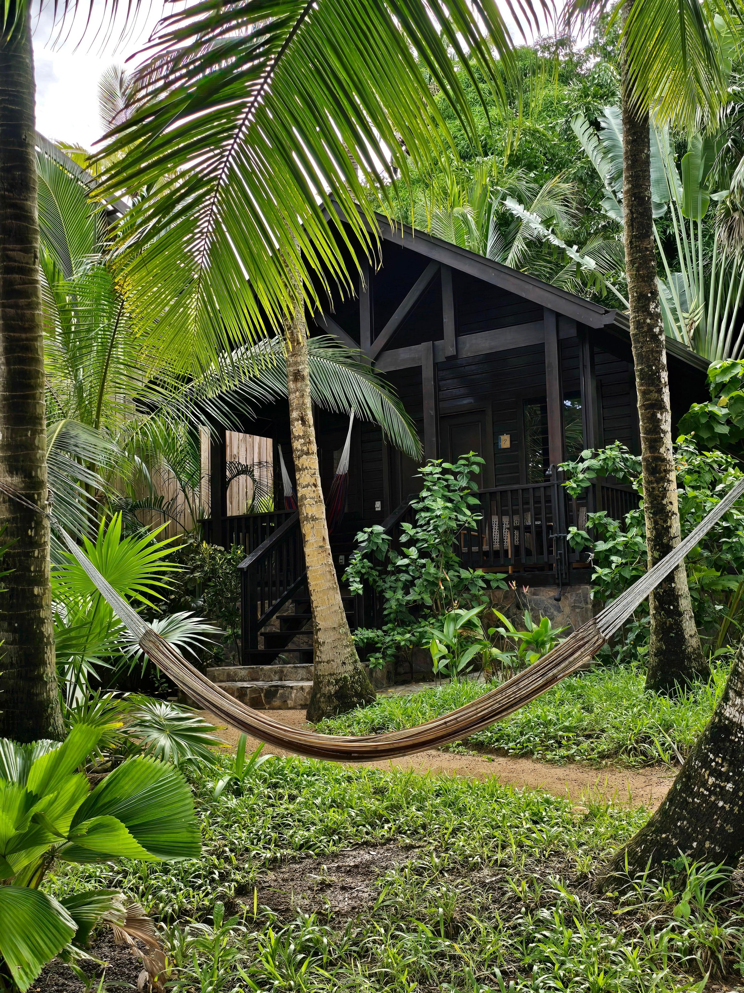 This was our room. It was extremely clean. House keeping came every morning while we were at breakfast and made it convenient.