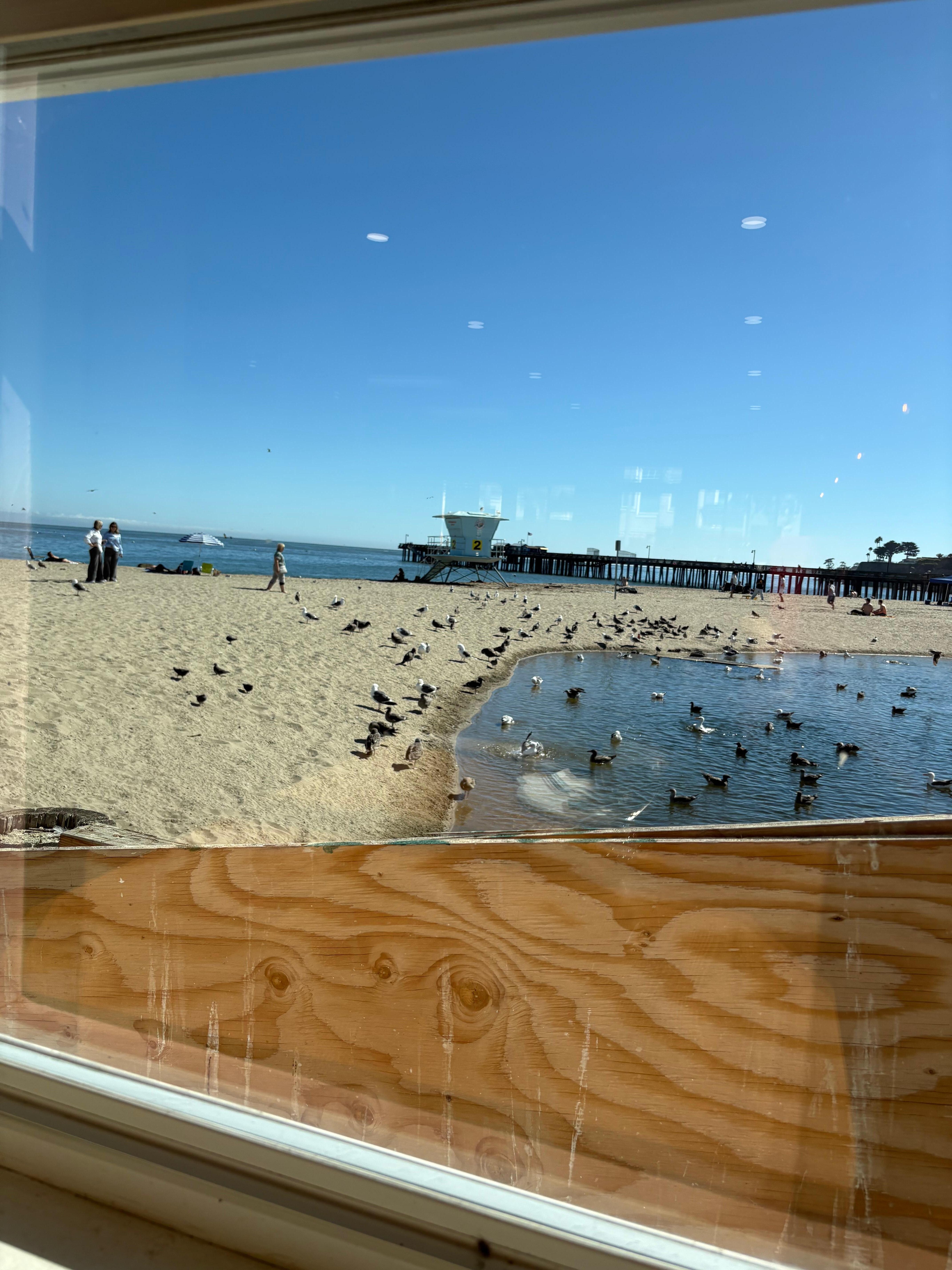 View from restaurant on the esplanade…lagoon and Capitola wharf.