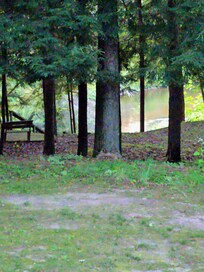 Serene overlook of cool, refreshing Betsie River. Easy walk down for nice fishing and wading/swimming area.