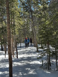 Took the Mills lake trail in RMNP,