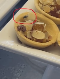 flies on food (indoor restaurant)