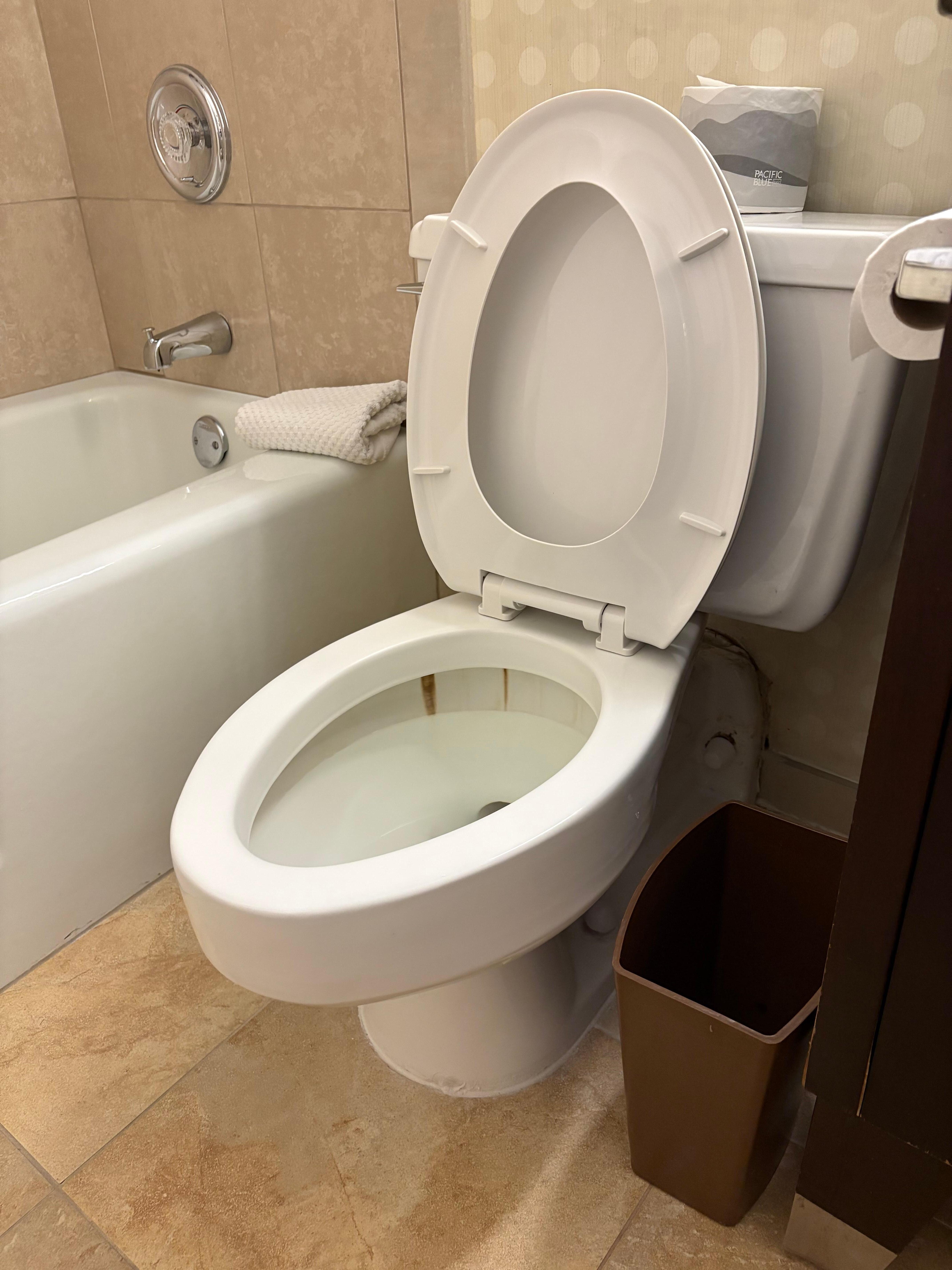 Dirty toilet.  Never stopped running also 