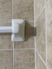 Mold in shower