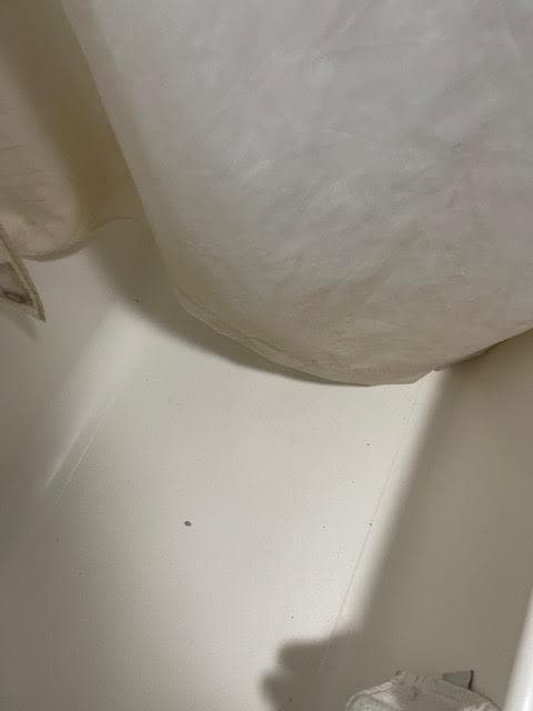 Insects in the bath tub