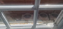 View from room, sealed window.
