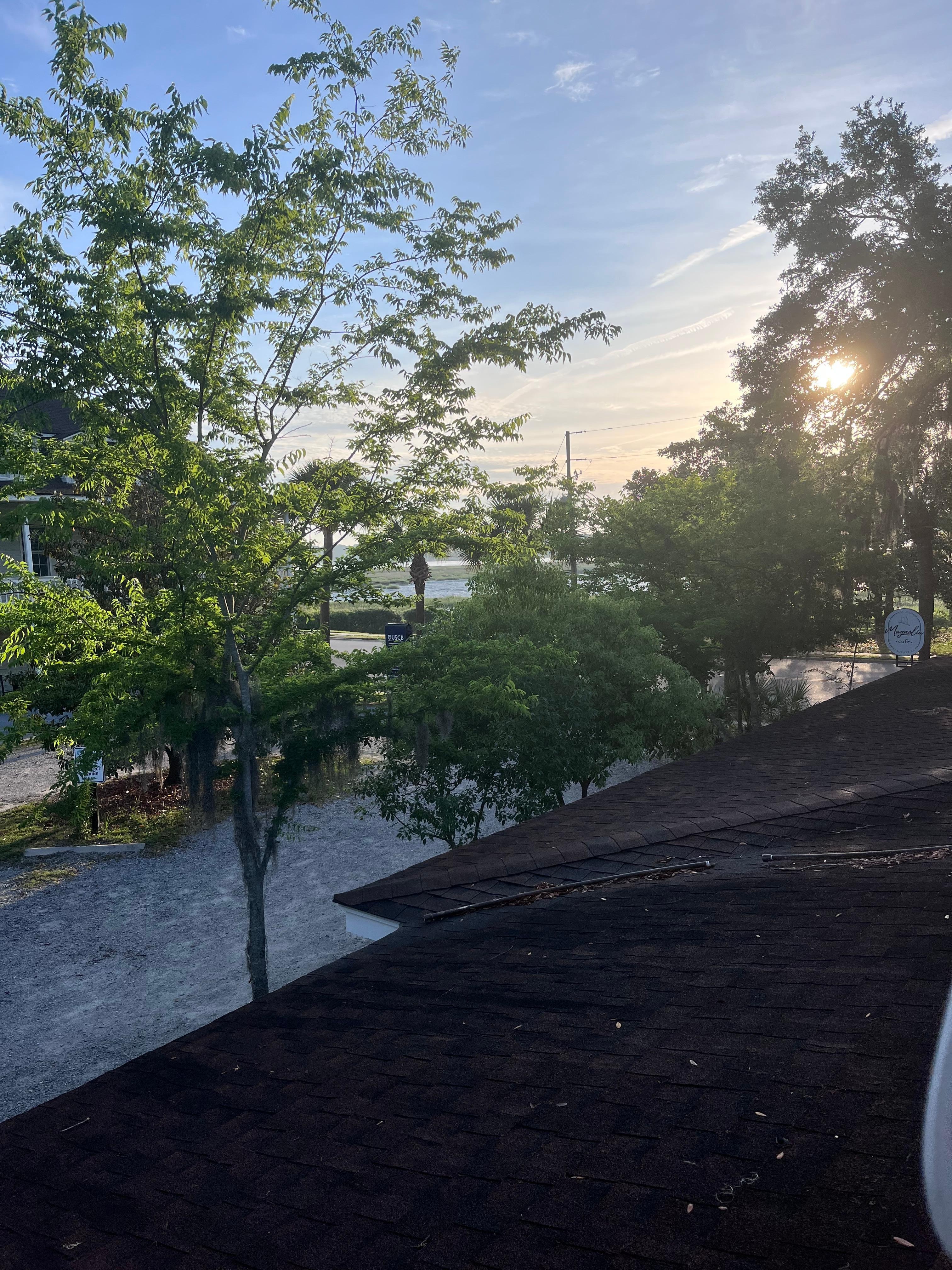 View from the kitchen windows