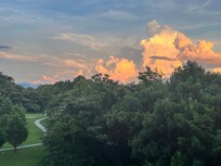 Beautiful balcony view. Also shown is an awesome walking track!