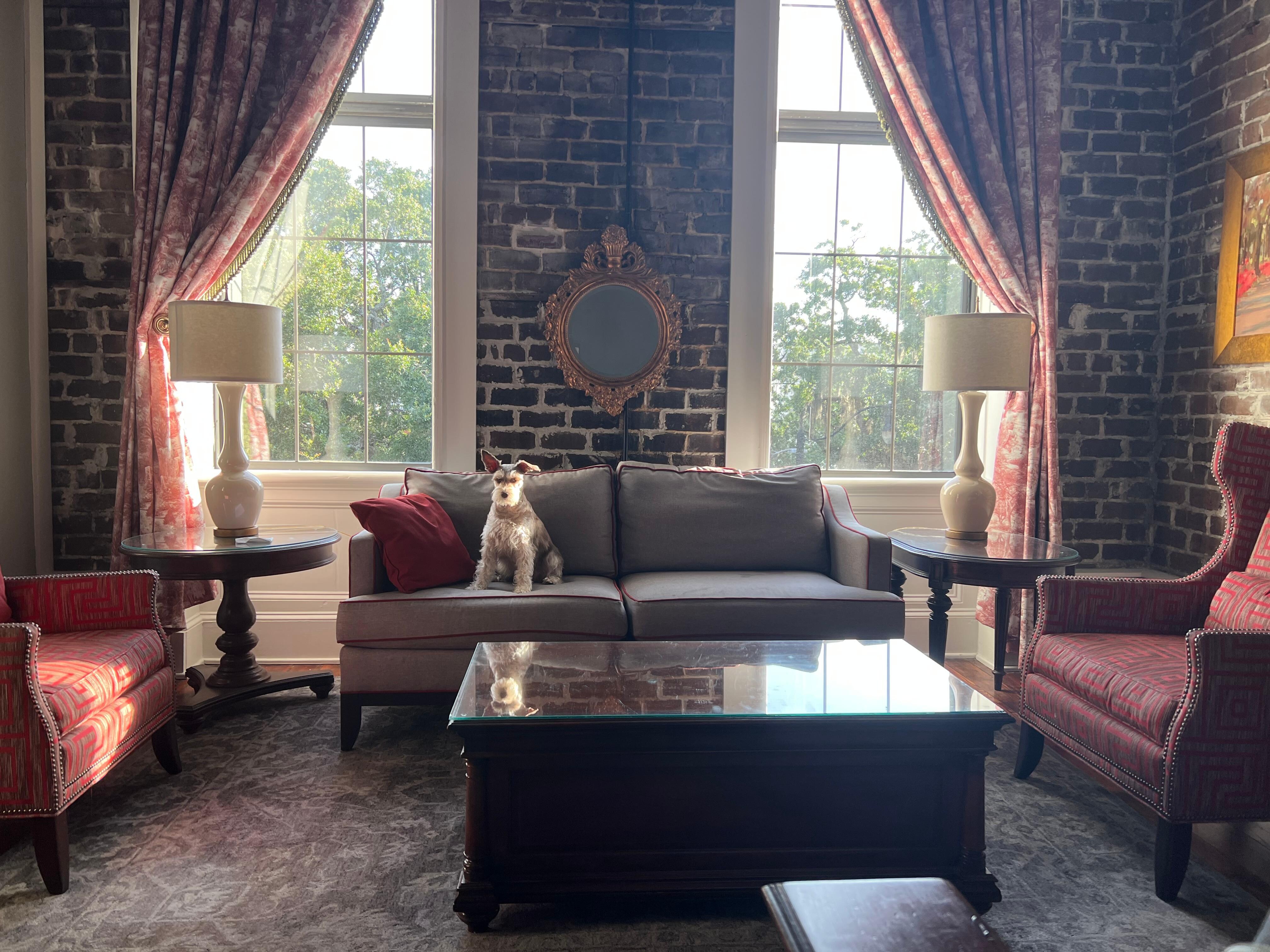 Our pup enjoying the beautiful suite. 