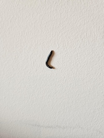 My room mate!