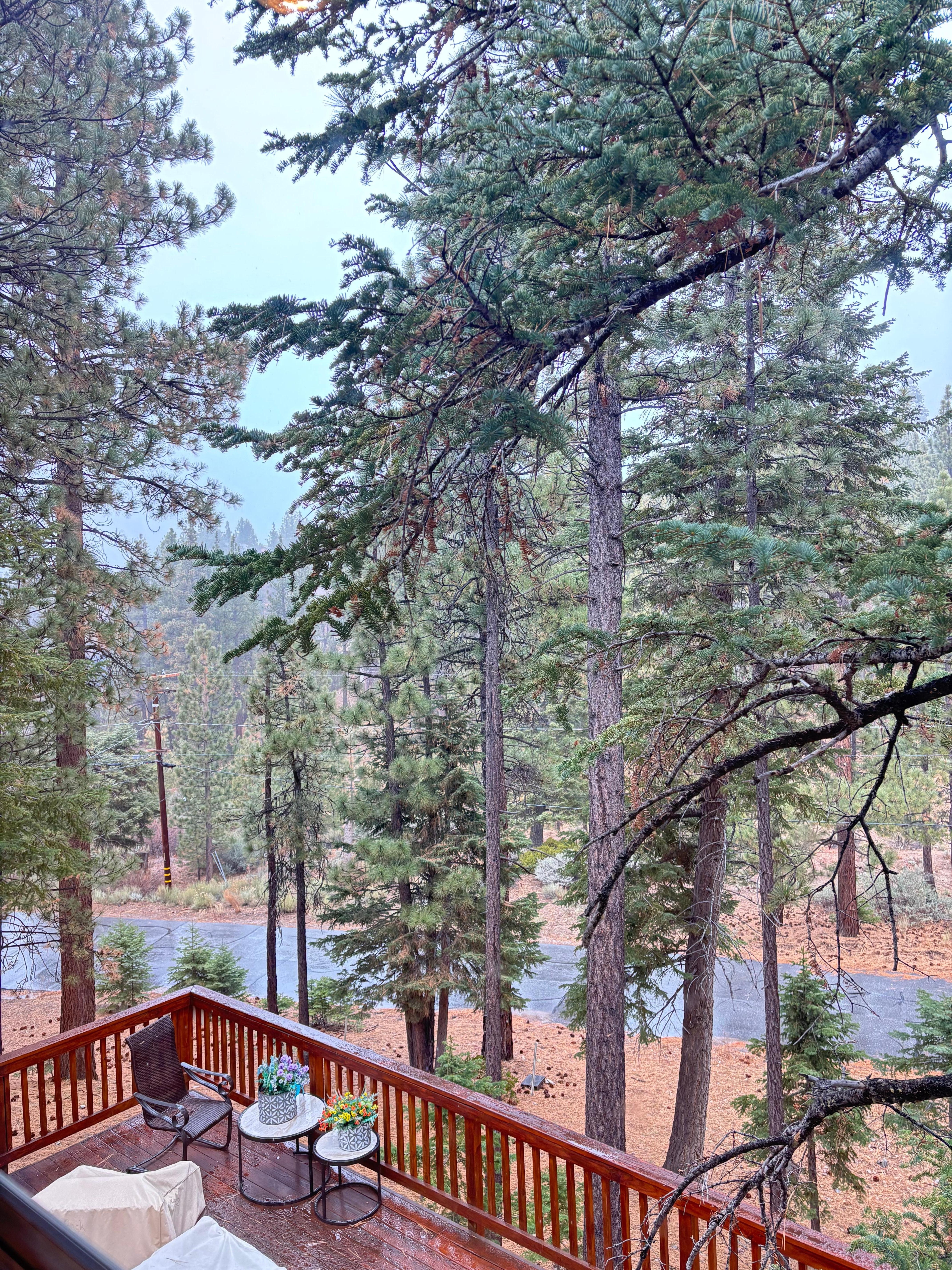 Backside of deck before snowstorm 