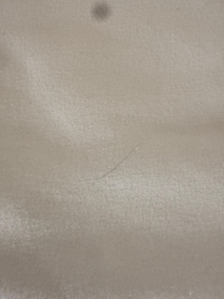 More hairs on the “clean sheets”