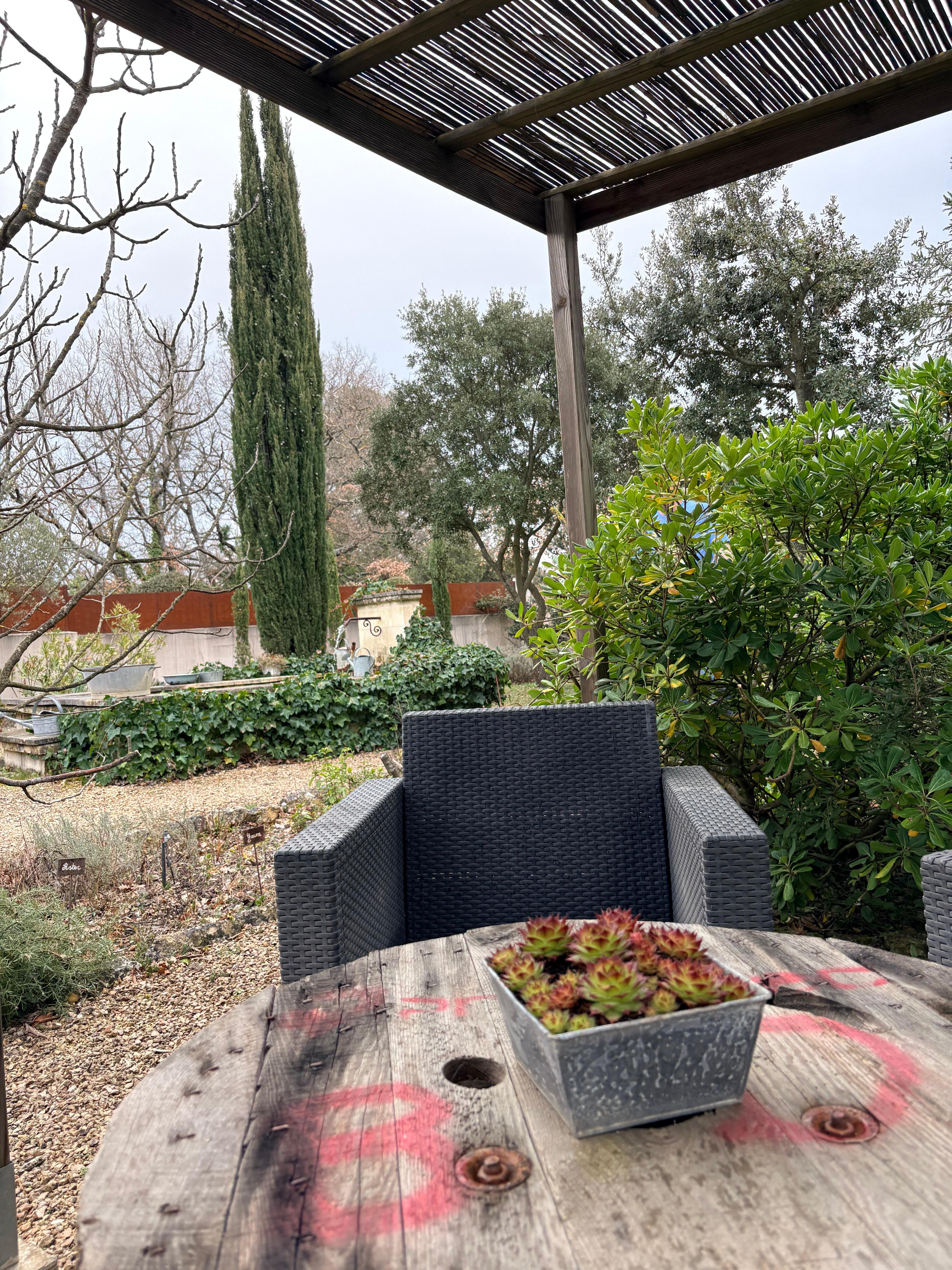 Relaxing in the garden